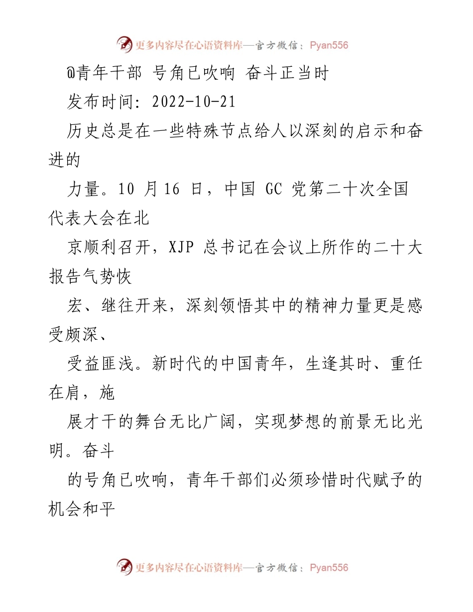 [发言] 青年干部大会 - 奋斗的号角：新时代青年干部的使命与责任.docx_第1页