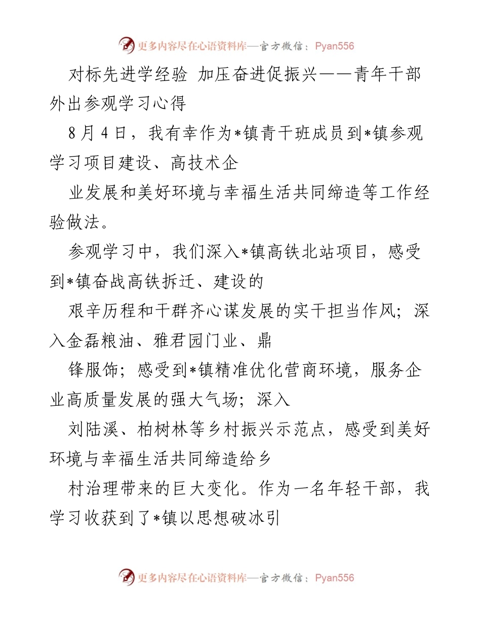 [发言] 青年干部学习交流 - 对标先进，推动乡村振兴的实践与思考.docx_第1页