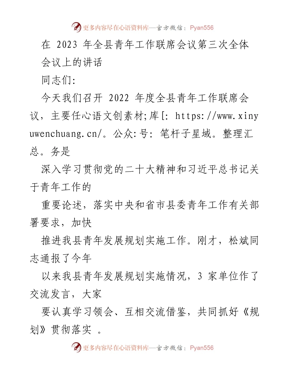 [发言] 青年工作联席会议 - 加快推进青年发展规划实施的责任与措施.docx_第1页
