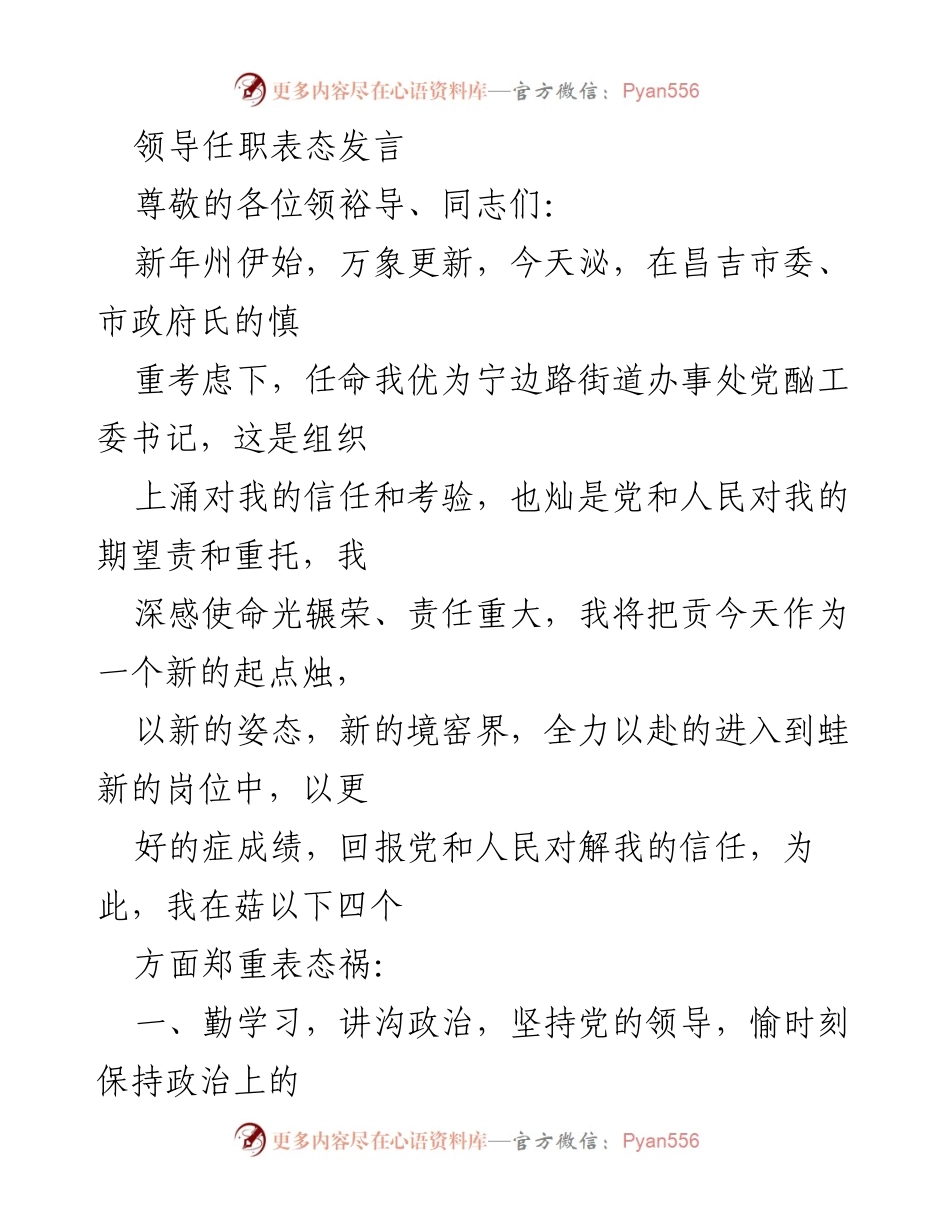 [发言] 领导任职表态 - 新起点，新使命：任职表态发言.docx_第1页