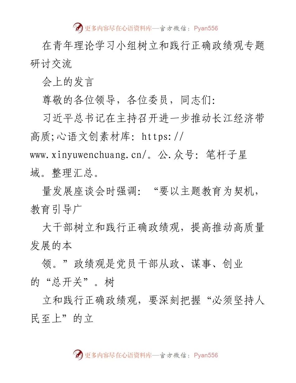[发言] 青年理论学习小组 - 树立和践行正确政绩观的重要性与实践路径.docx_第1页