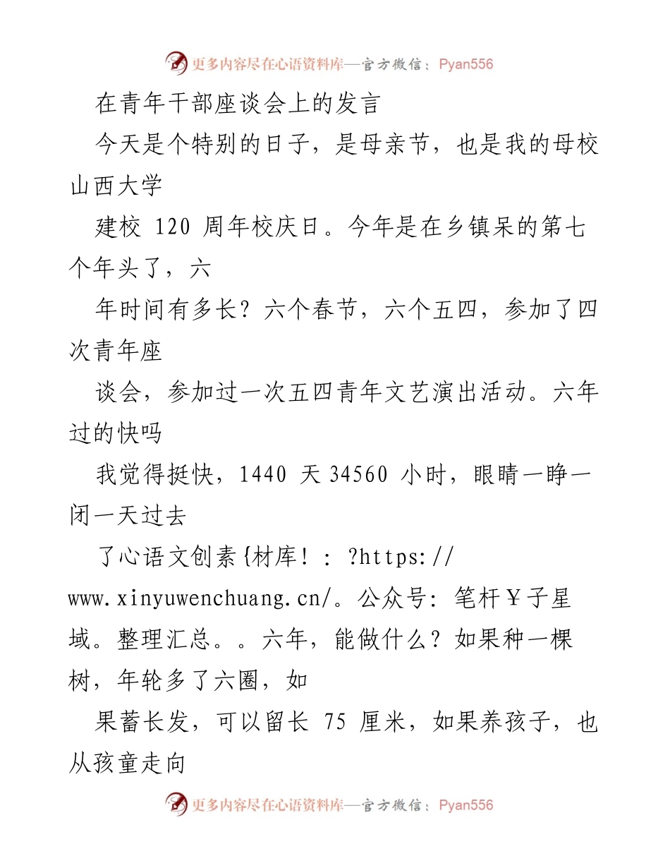 [发言] 青年干部座谈会 - 青年奋斗与乡镇工作的价值分享.docx_第1页