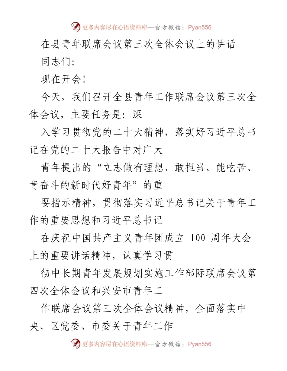 [发言] 青年工作联席会议 - 深入贯彻党的二十大精神，推动青年发展规划实施.docx_第1页