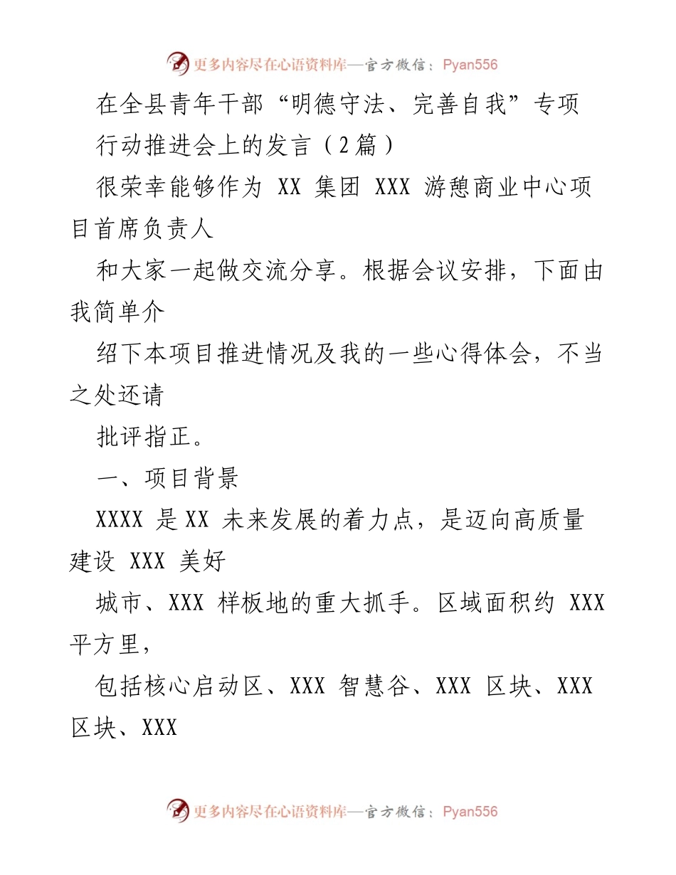 [发言] 青年干部专项行动推进会 - 游憩商业中心项目推进情况及心得体会.docx_第1页
