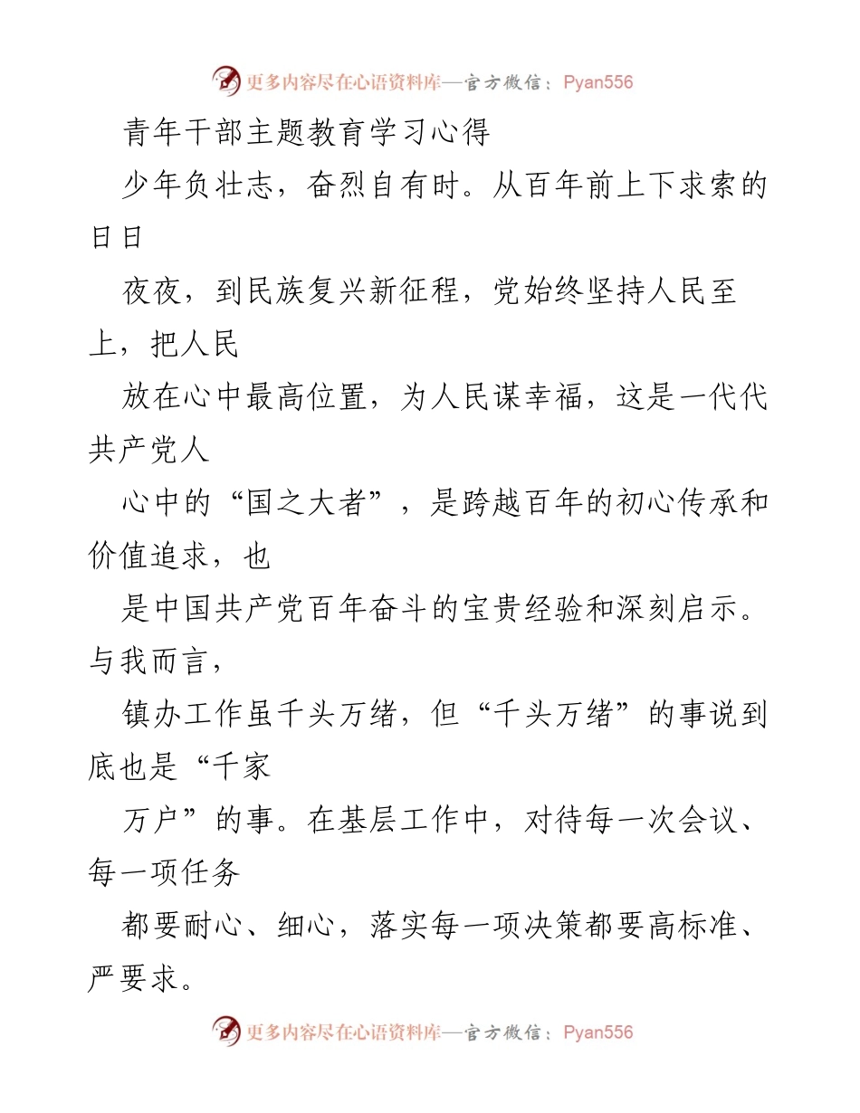 [学习心得] 青年干部主题教育 - 坚守初心，服务人民：青年干部的学习与成长之路.docx_第1页