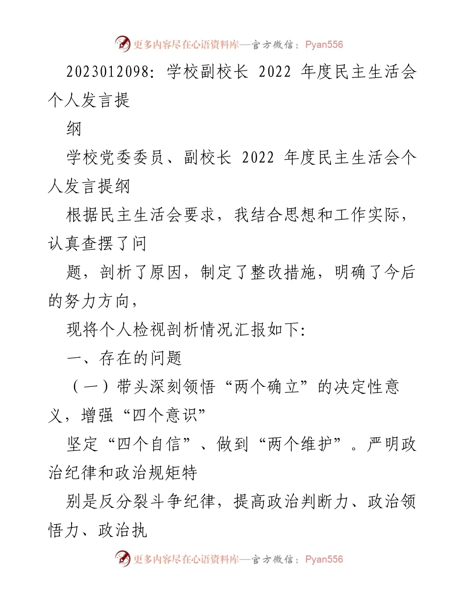 [发言提纲] 2022年度民主生活会 - 剖析与整改：副校长的个人发言提纲.docx_第1页