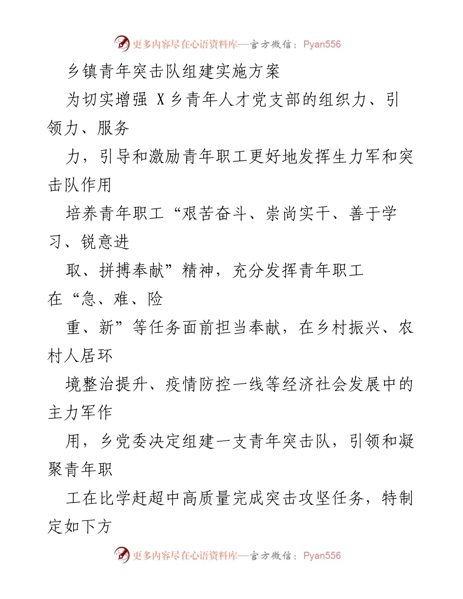 [实施方案] 乡镇青年工作 - 乡镇青年突击队组建方案.docx_第1页