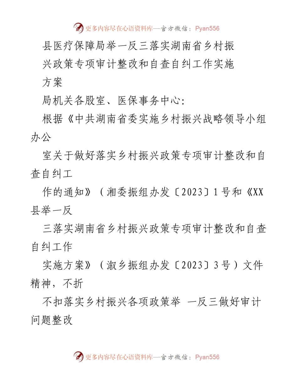 [实施方案] 医疗保障局 - 乡村振兴政策审计整改与自查自纠工作实施方案.docx_第1页