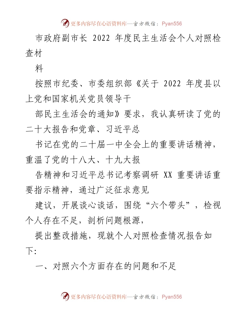 [对照检查报告] 市政府副市长年度民主生活会 - 2022年度民主生活会个人对照检查情况报告.docx_第1页