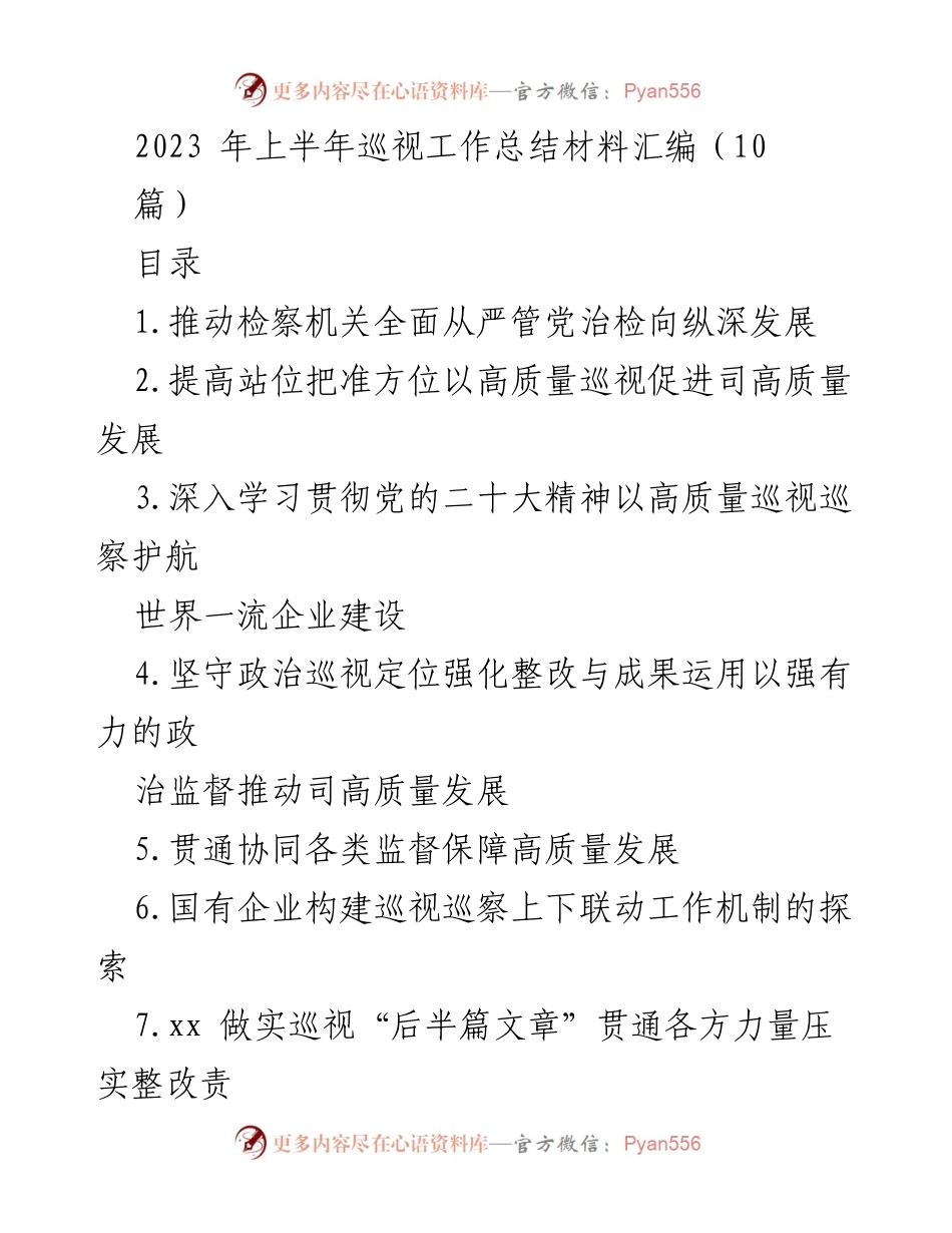 [工作总结] 2023年上半年 - 检察机关巡视工作总结与发展策略.docx_第1页