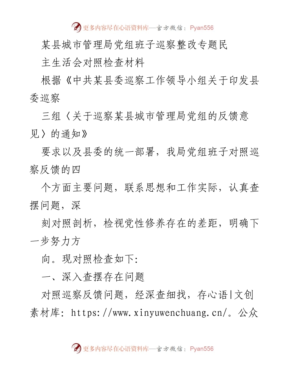 [对照检查材料] 城市管理局党组班子巡察整改 - 深刻剖析巡察反馈问题，明确整改方向.docx_第1页