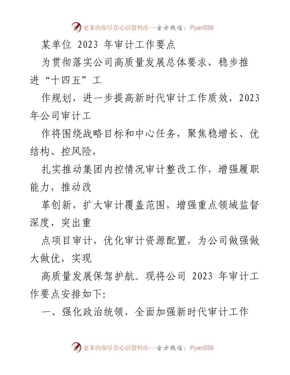 [审计工作总结] 2023年审计工作 - 2023年审计工作要点与实施策略.docx_第1页