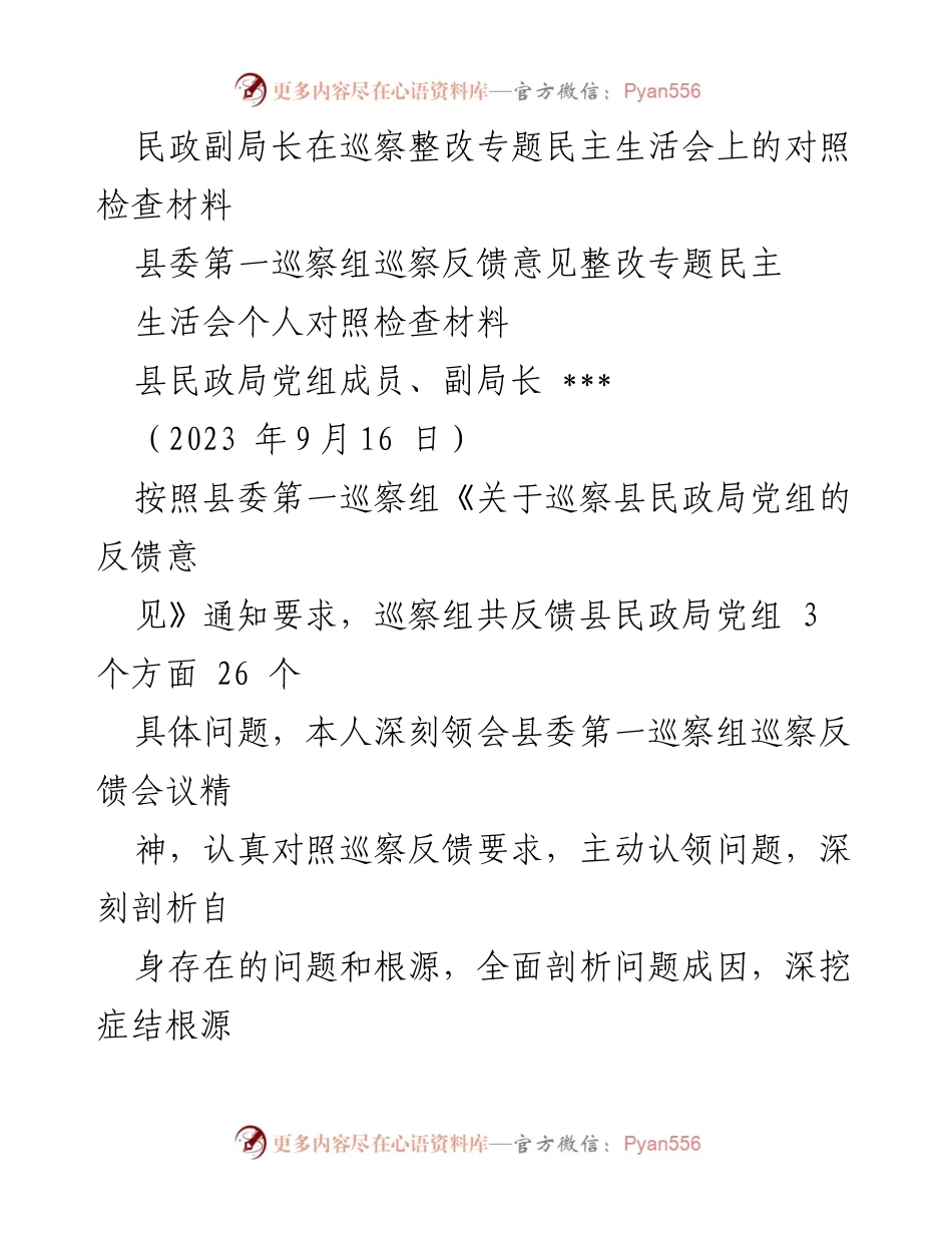 [对照检查材料] 巡察整改专题民主生活会 - 民政副局长巡察反馈问题整改自查报告.docx_第1页