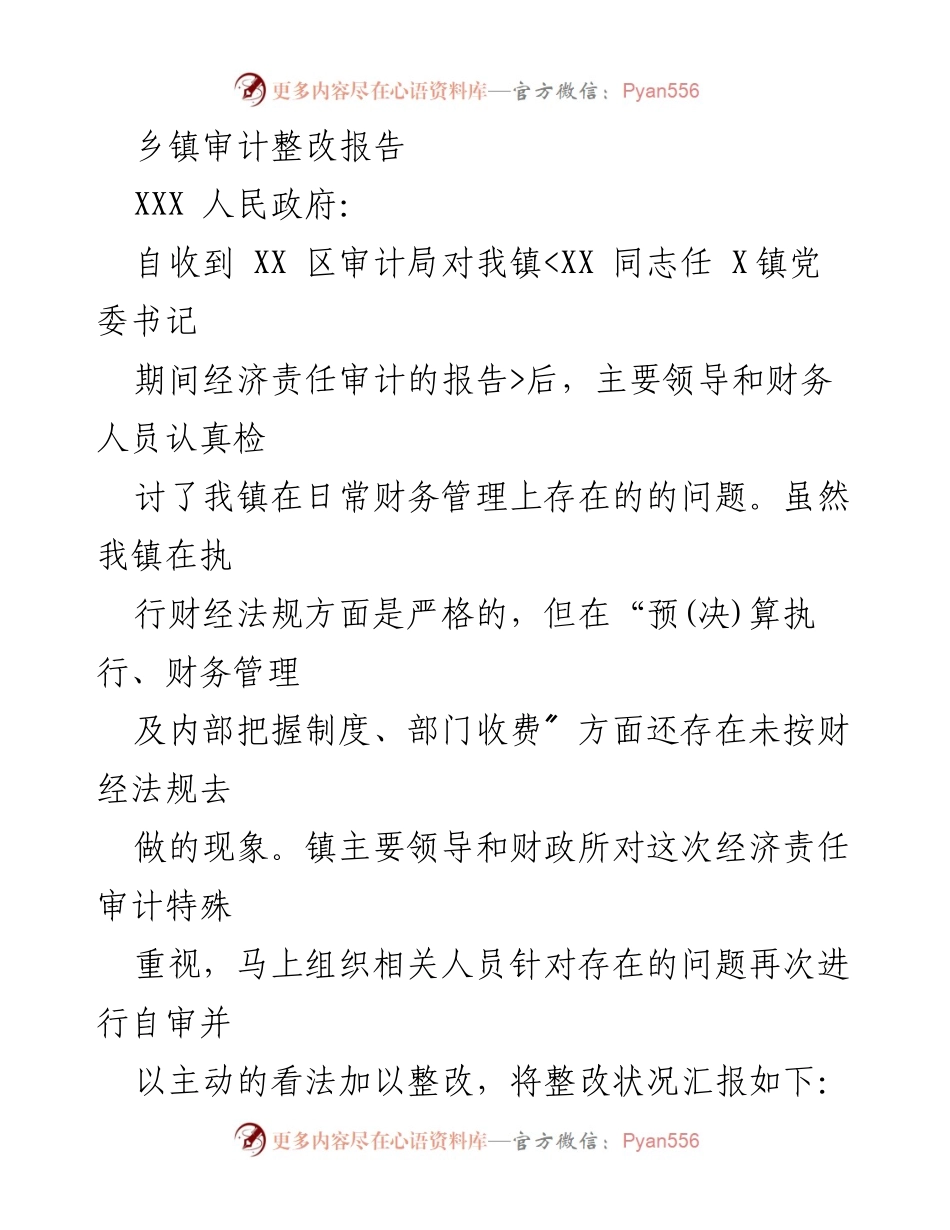 [审计整改报告] 乡镇政府 - 乡镇财务管理审计整改措施及自查总结.docx_第1页
