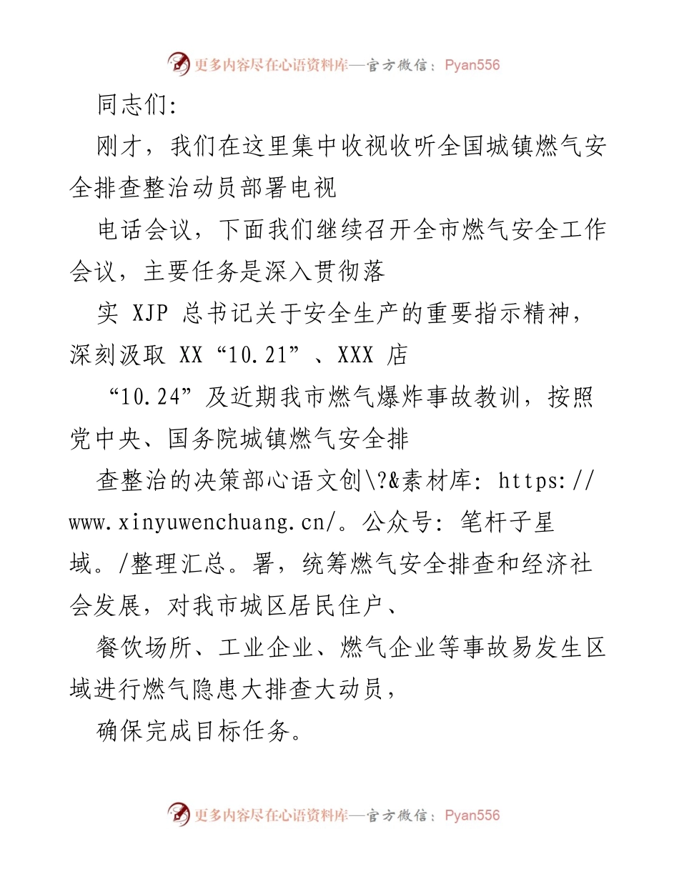 [工作会议] 燃气安全 - 加强全市燃气安全排查整治工作会议总结.docx_第1页