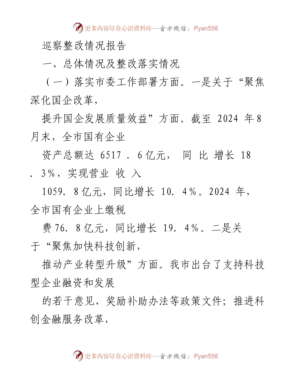 [巡察整改报告] 工作总结 - 国企改革与乡村振兴成效分析.docx_第1页