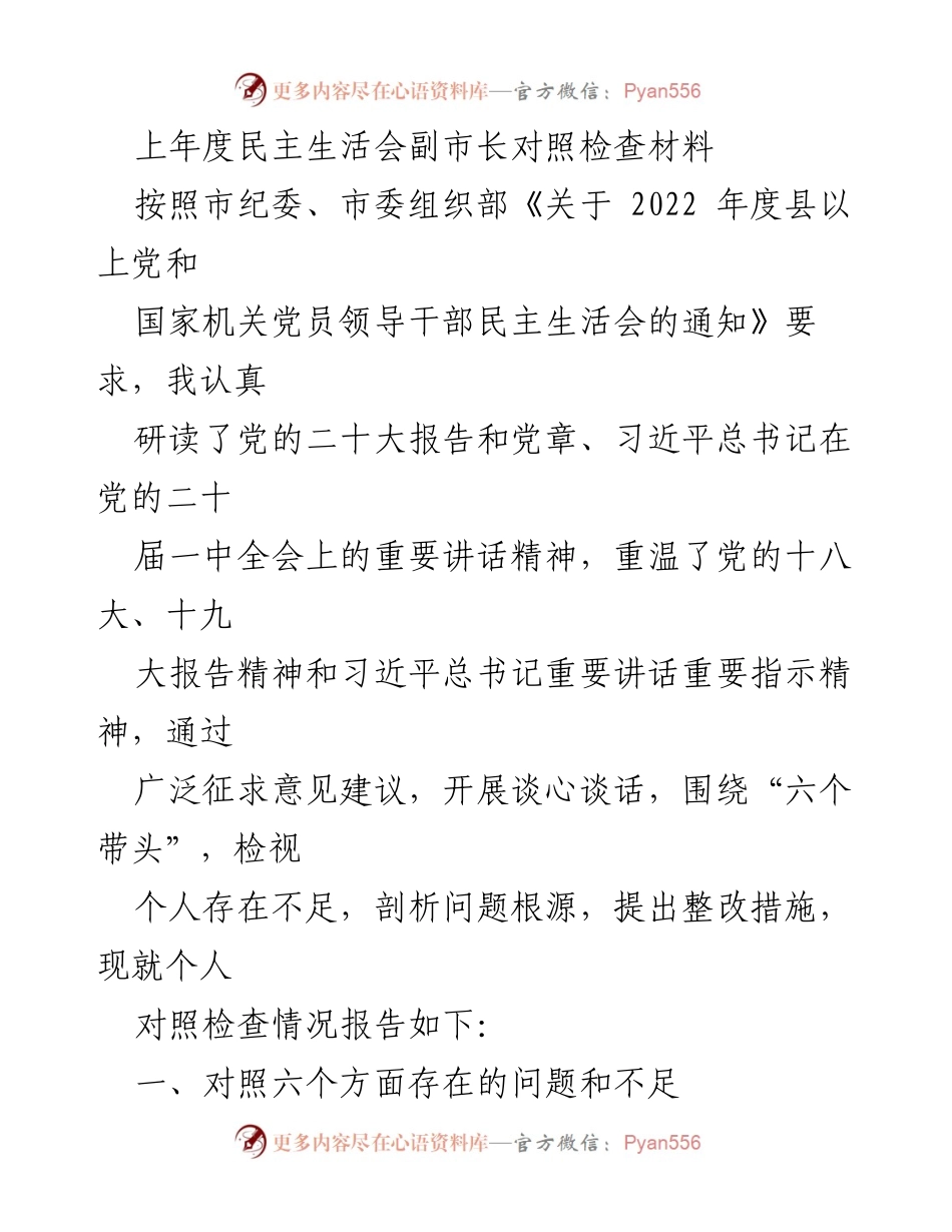 [对照检查材料] 民主生活会 - 副市长年度对照检查与整改报告.docx_第1页