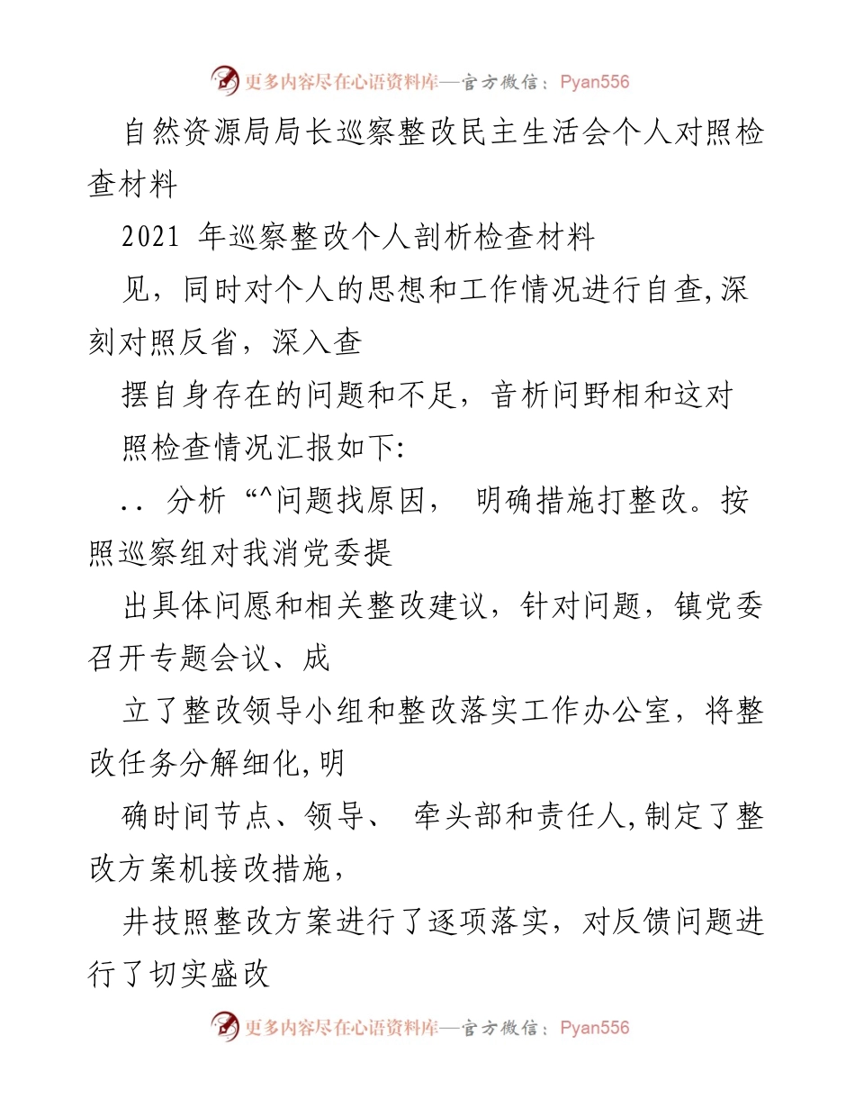 [对照检查材料] 自然资源局局长巡察整改民主生活会 - 巡察整改问题自查与整改措施分析.docx_第1页