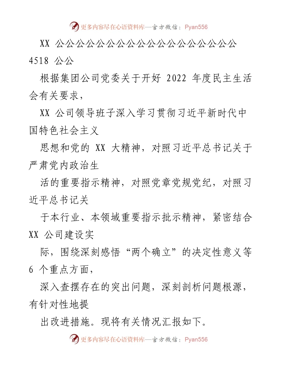[工作总结] 2022年度民主生活会 - XX公司领导班子民主生活会整改措施汇报.docx_第1页