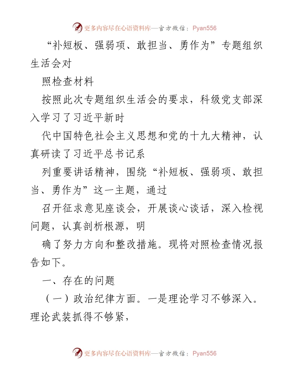 [对照检查材料] 党支部专题组织生活会 - 深入检视与整改措施报告.docx_第1页