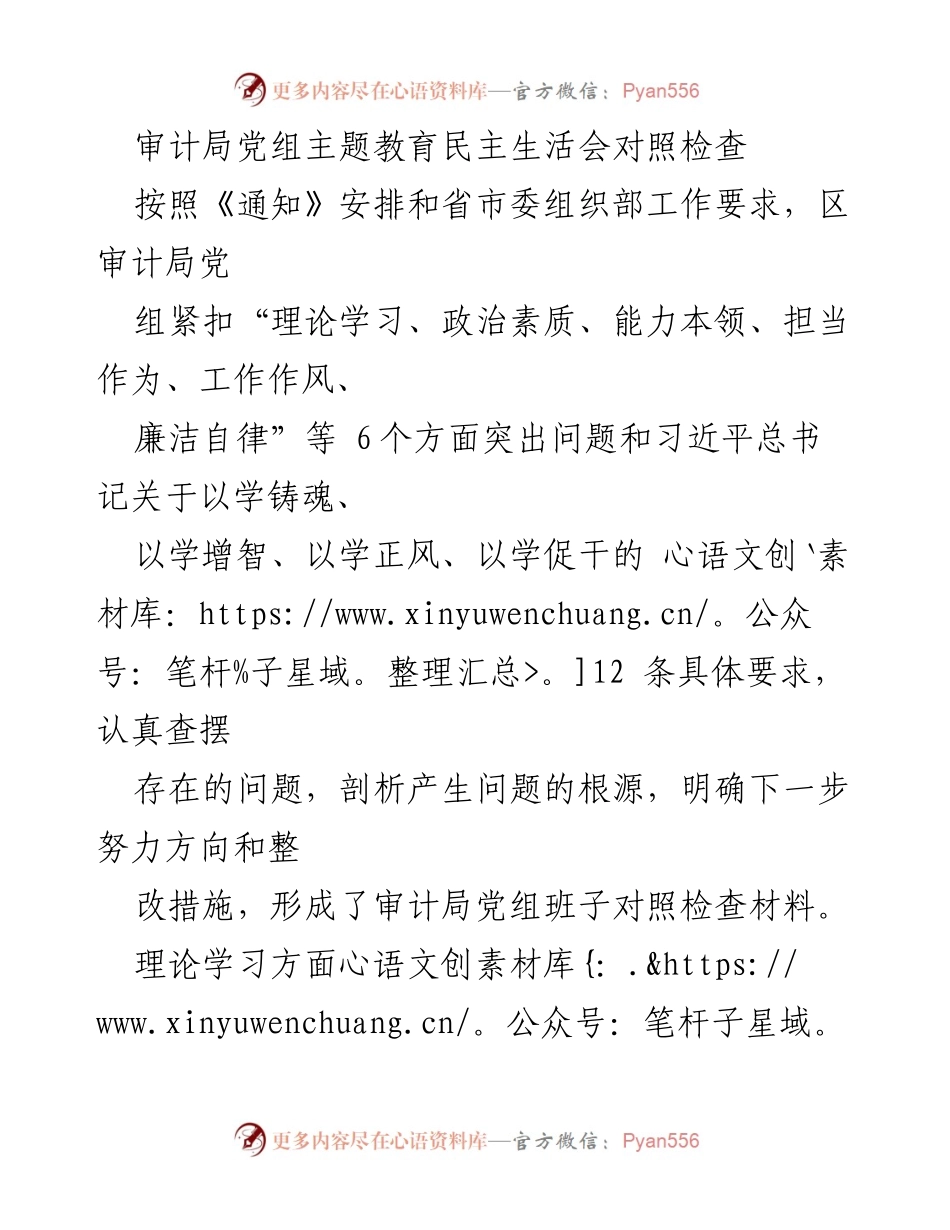 [对照检查] 主题教育民主生活会 - 审计局党组主题教育对照检查报告.docx_第1页