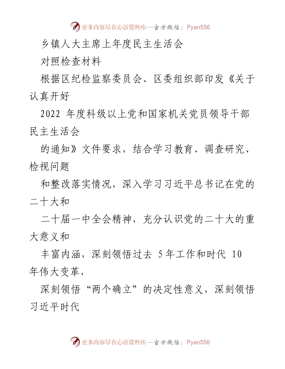 [对照检查材料] 乡镇人大主席年度民主生活会 - 深入检视与整改落实情况报告.docx_第1页
