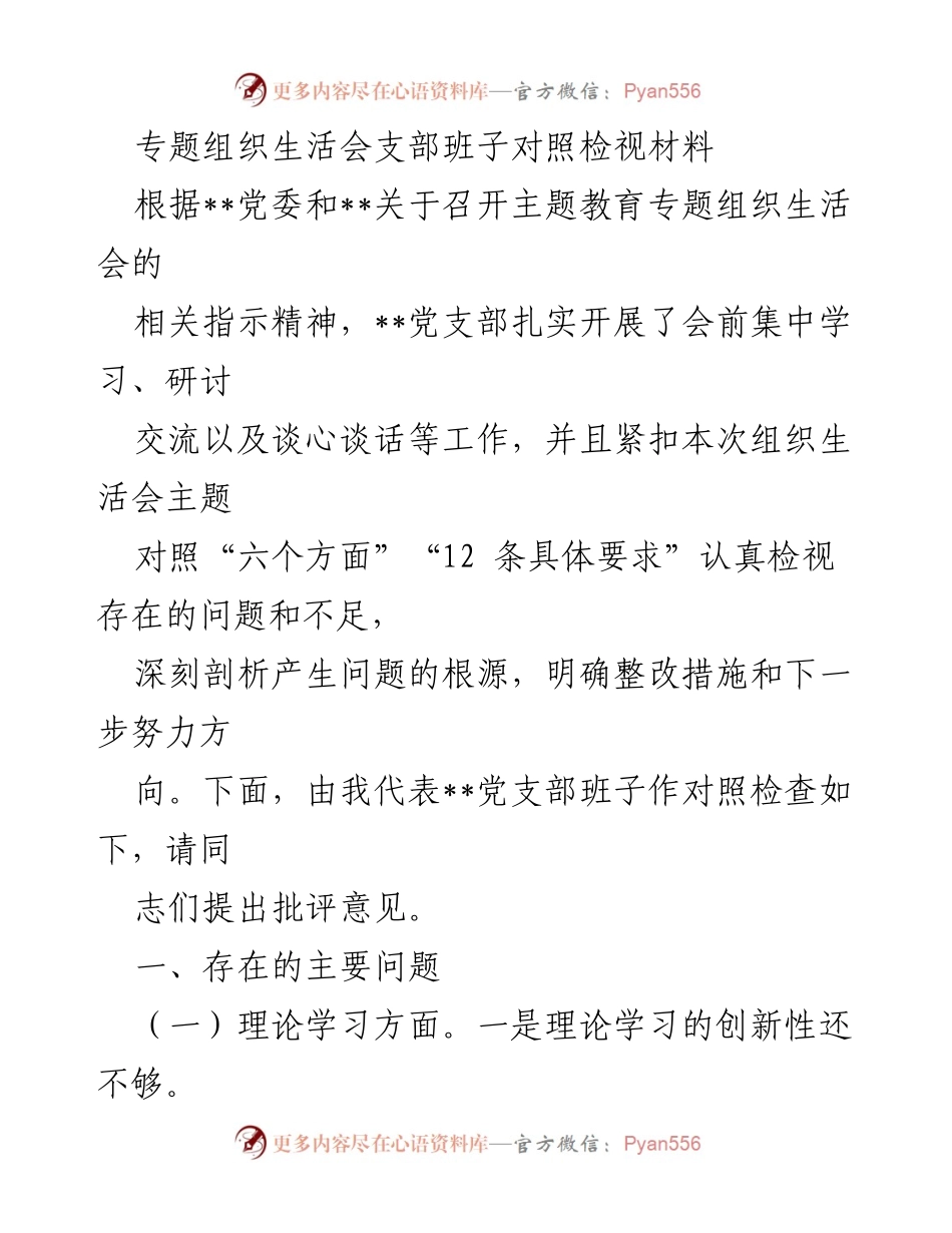 [对照检查] 组织生活会 - 党支部班子对照检视材料及整改措施.docx_第1页