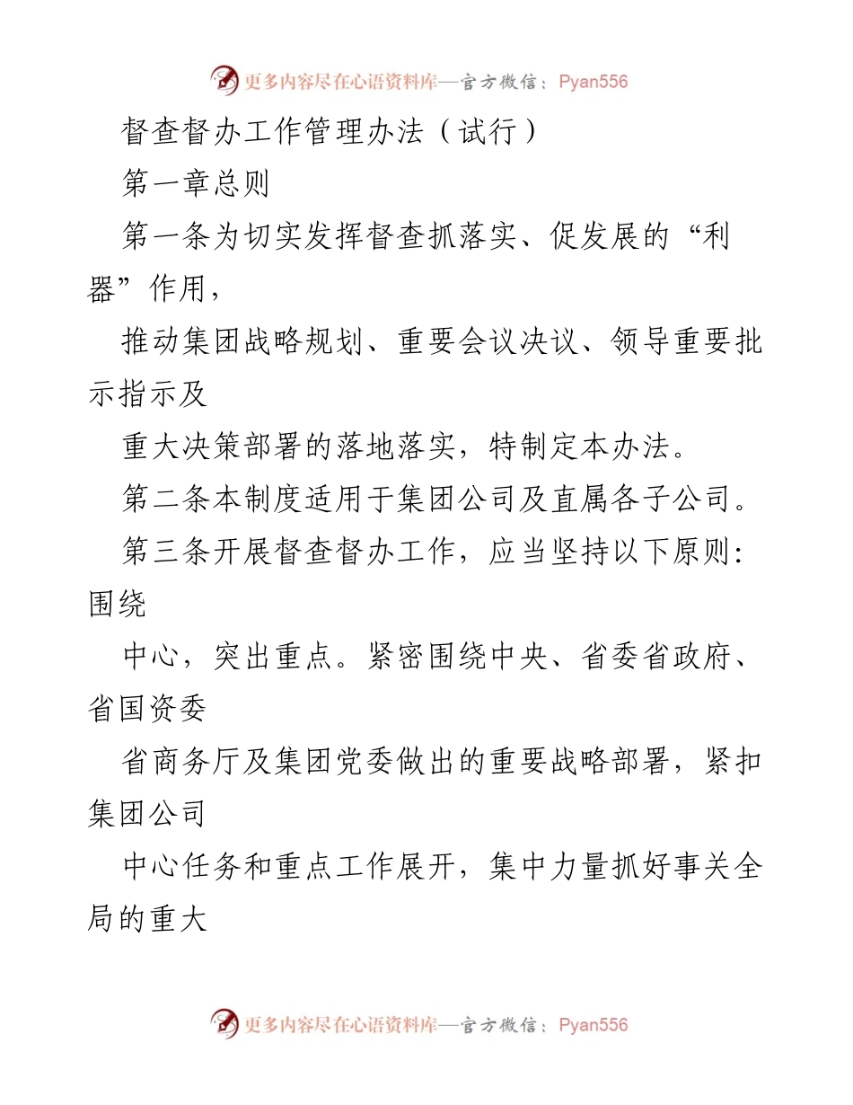 [工作办法] 集团公司 - 督查督办工作管理办法（试行）.docx_第1页