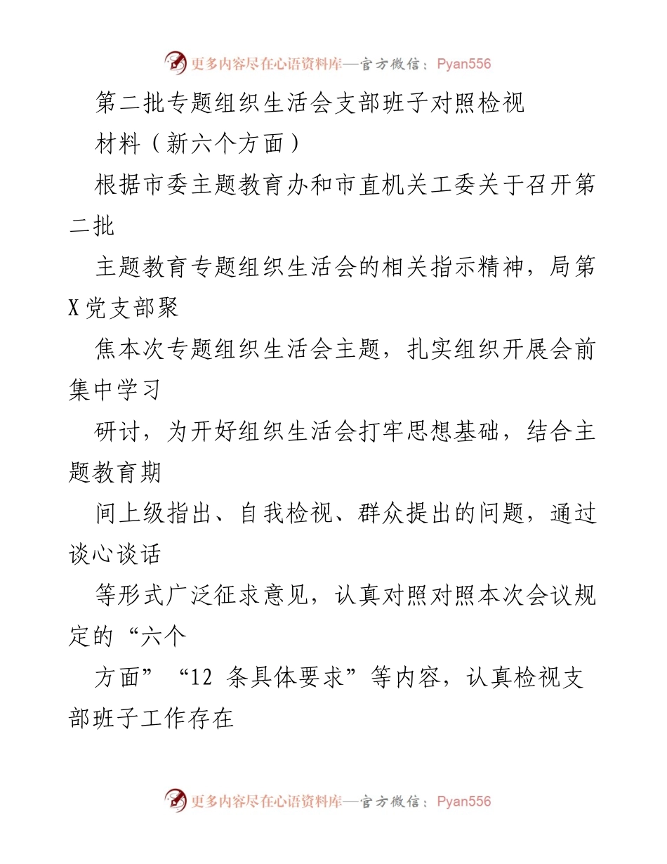 [对照检查] 组织生活会 - 第二批专题组织生活会支部班子对照检视报告.docx_第1页