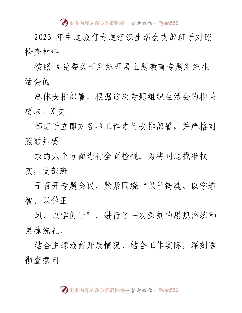 [对照检查材料] 主题教育专题组织生活会 - 支部班子对照检查与整改措施总结.docx_第1页