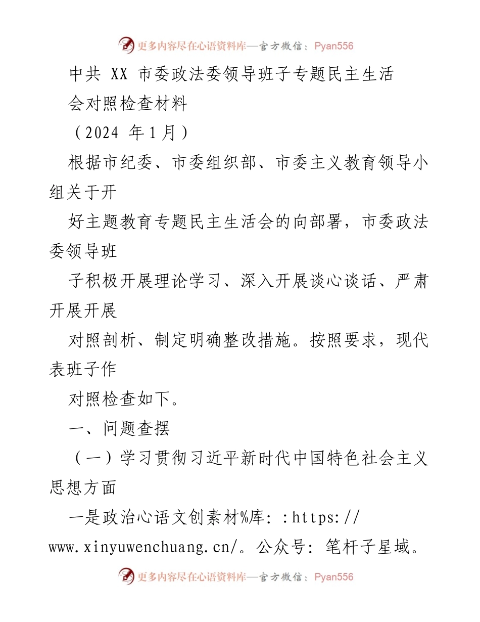 [对照检查材料] 专题民主生活会 - 中共XX市委政法委领导班子对照检查与整改措施分析.docx_第1页