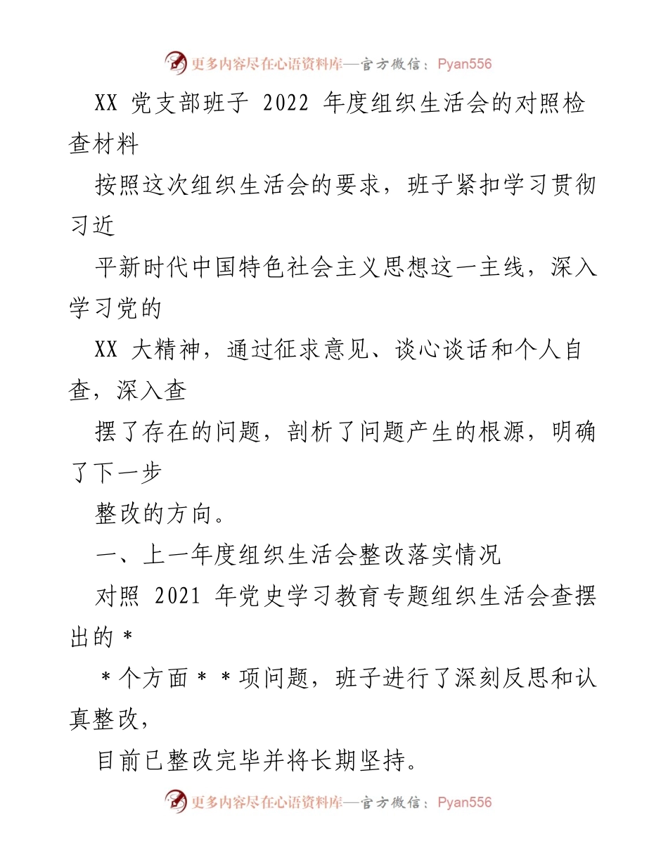 [对照检查材料] 组织生活会 - 2022年度党支部班子对照检查总结_1.docx_第1页