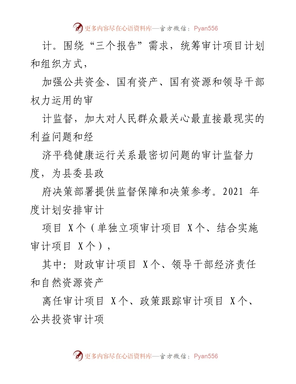 [审计工作总结] 2021年度审计计划 - 深化审计监督 助力经济健康运行.docx_第1页