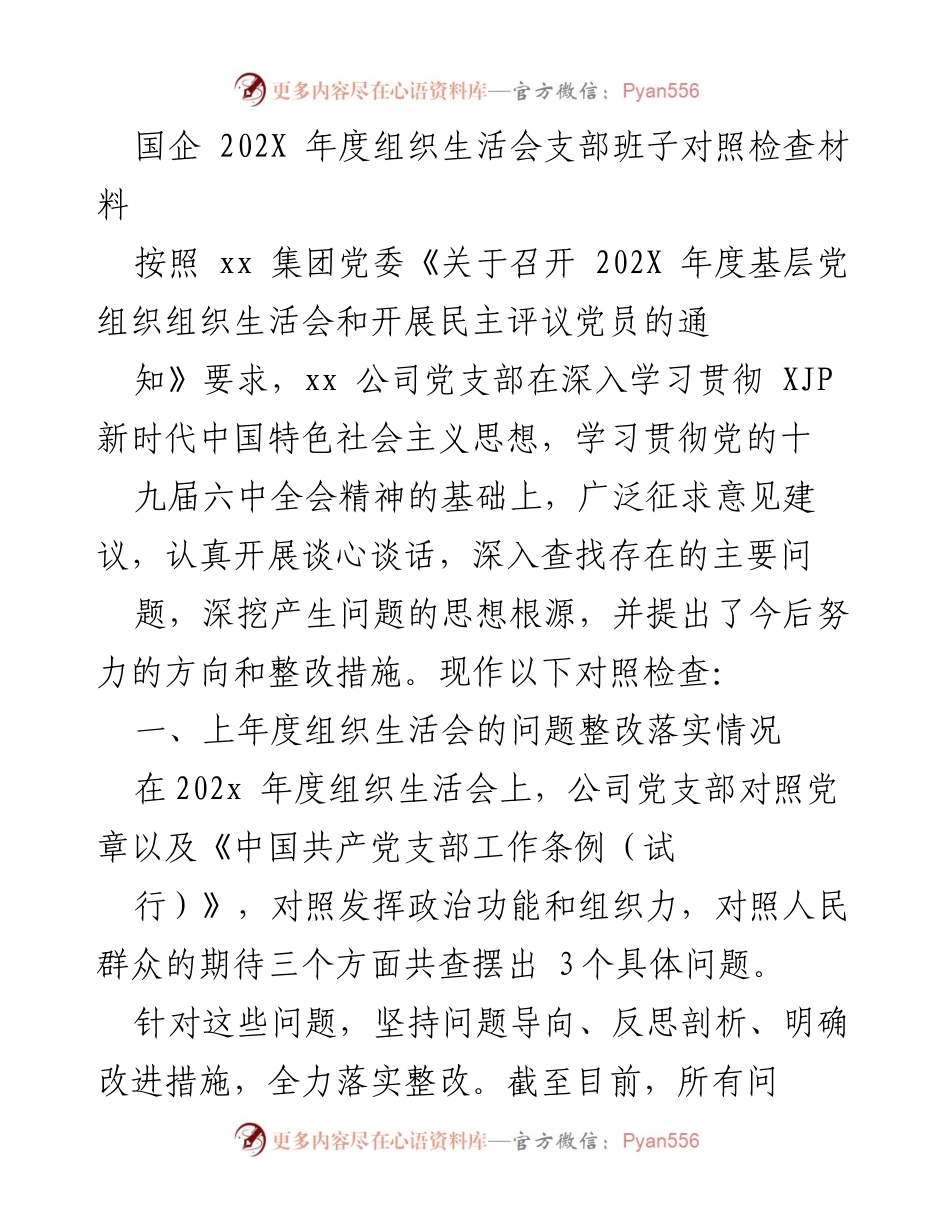 [对照检查材料] 年度组织生活会 - 国企党支部202X年度问题整改与自查报告.docx_第1页