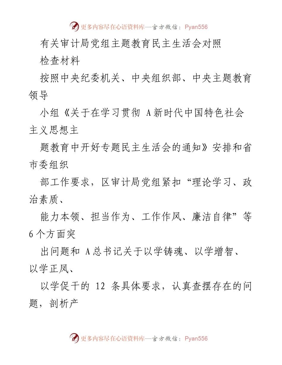 [对照检查材料] 主题教育民主生活会 - 审计局党组主题教育对照检查材料分析.docx_第1页