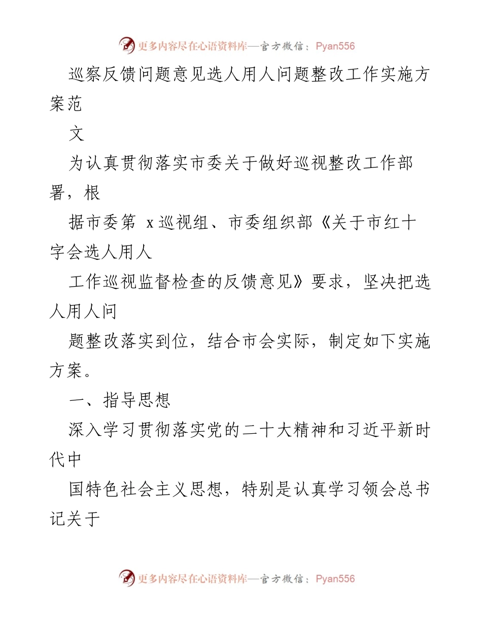 [实施方案] 巡察整改 - 选人用人问题整改工作实施方案.docx_第1页