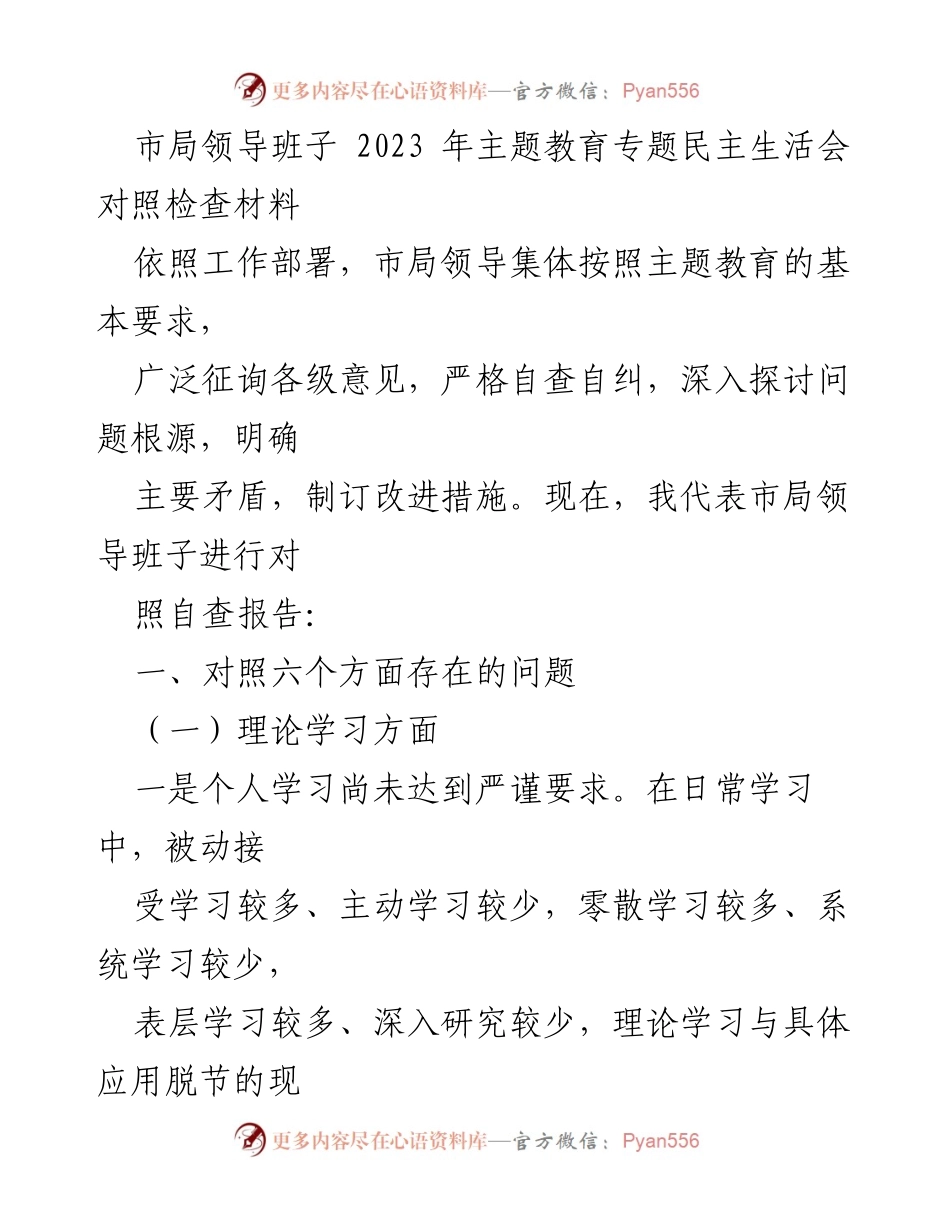 [对照检查报告] 主题教育专题民主生活会 - 市局领导班子2023年主题教育自查报告.docx_第1页