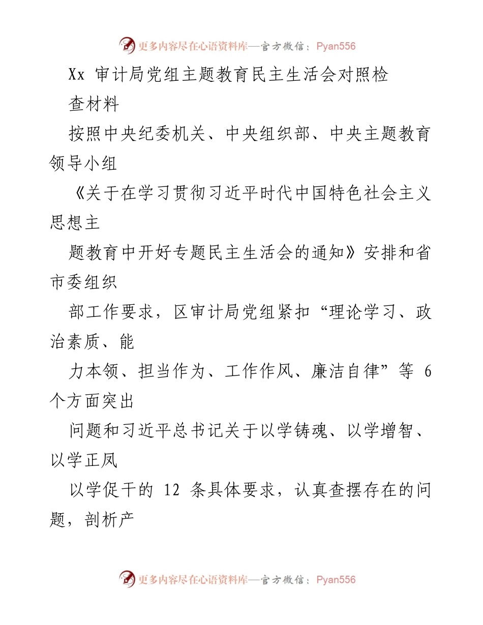 [对照检查材料] 主题教育民主生活会 - 审计局党组主题教育民主生活会对照检查材料.docx_第1页
