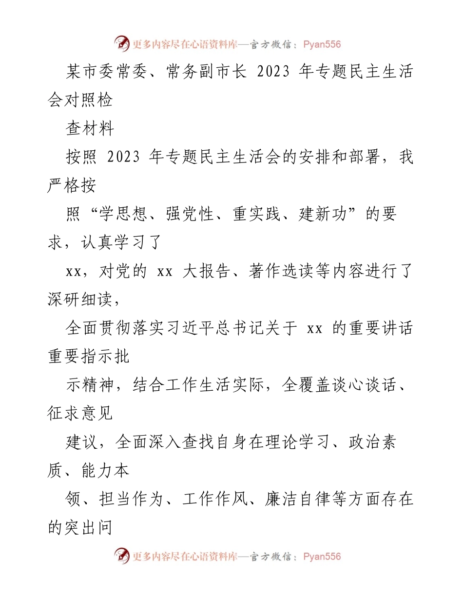 [对照检查材料] 市委常委、常务副市长专题民主生活会 - 2023年专题民主生活会对照检查材料.docx_第1页
