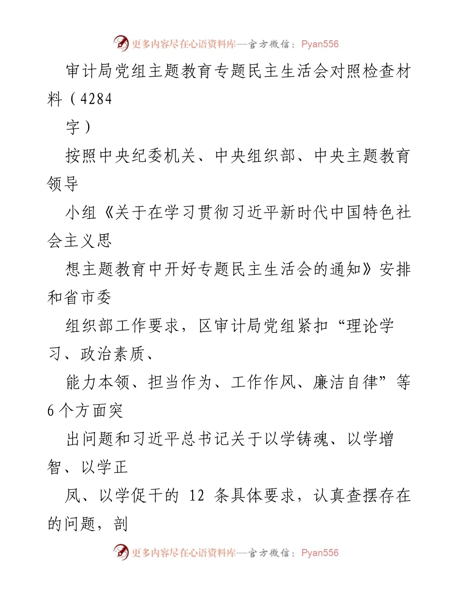 [对照检查材料] 审计局党组主题教育专题民主生活会 - 审计局党组对照检查问题与整改措施分析.docx_第1页