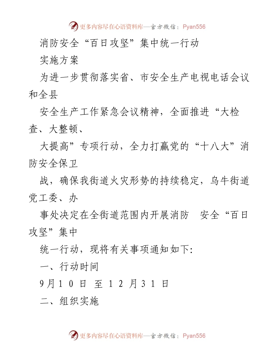 [实施方案] 消防安全工作会议 - 消防安全“百日攻坚”行动实施方案.docx_第1页