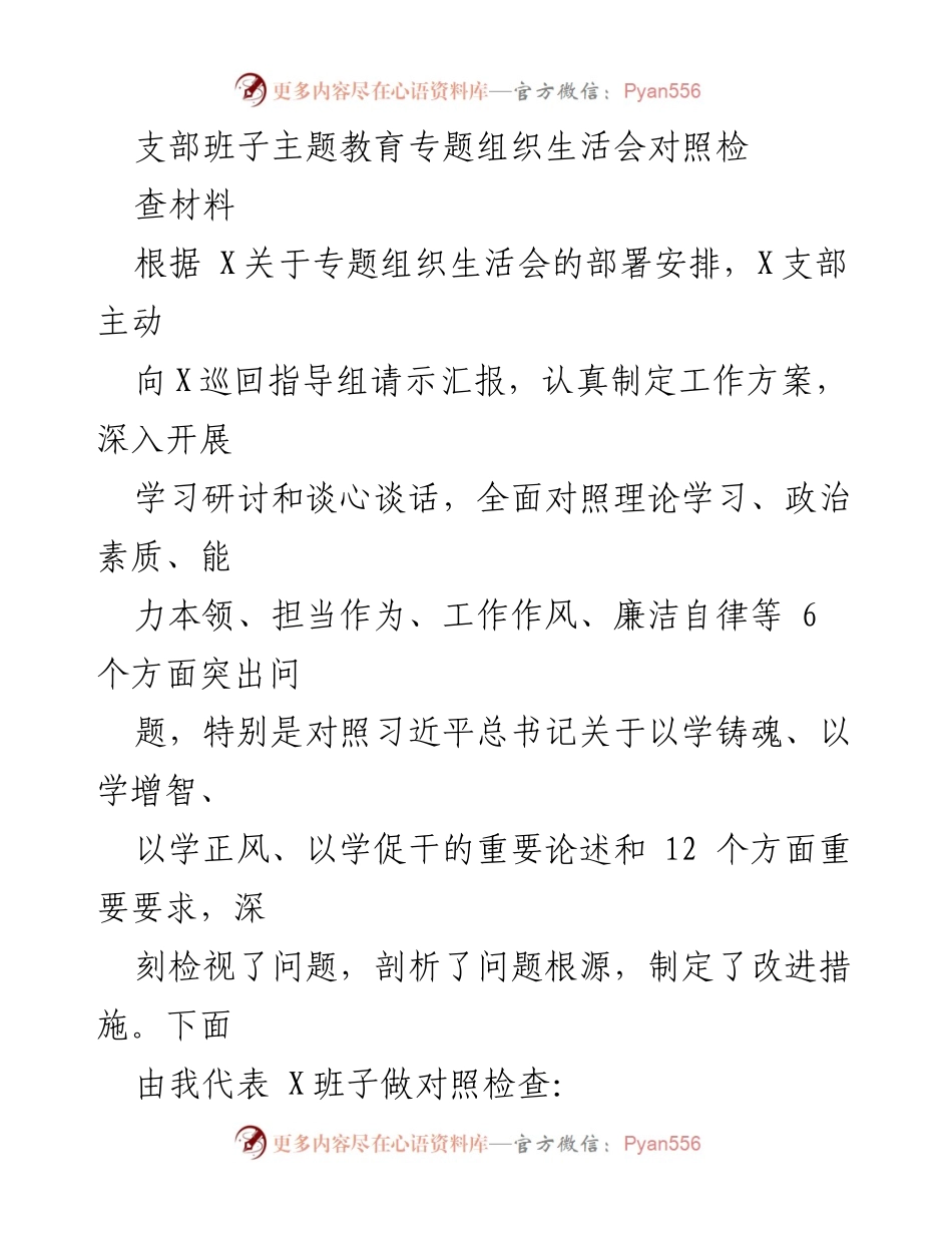 [对照检查材料] 组织生活会 - 支部班子主题教育对照检查报告.docx_第1页