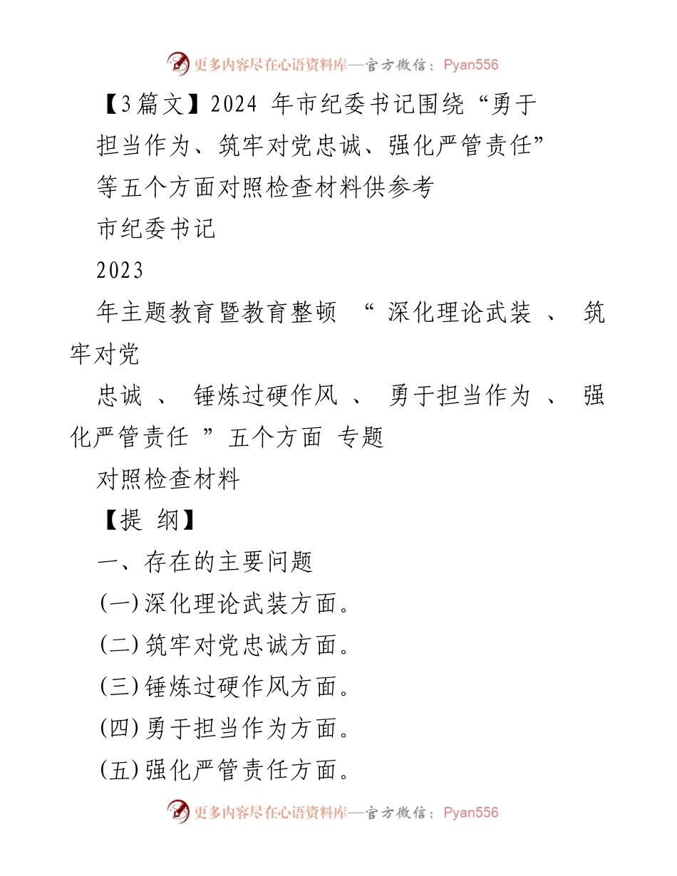 [对照检查报告] 市纪委书记 - 深化理论武装与担当作为的自我剖析与整改措施.docx_第1页