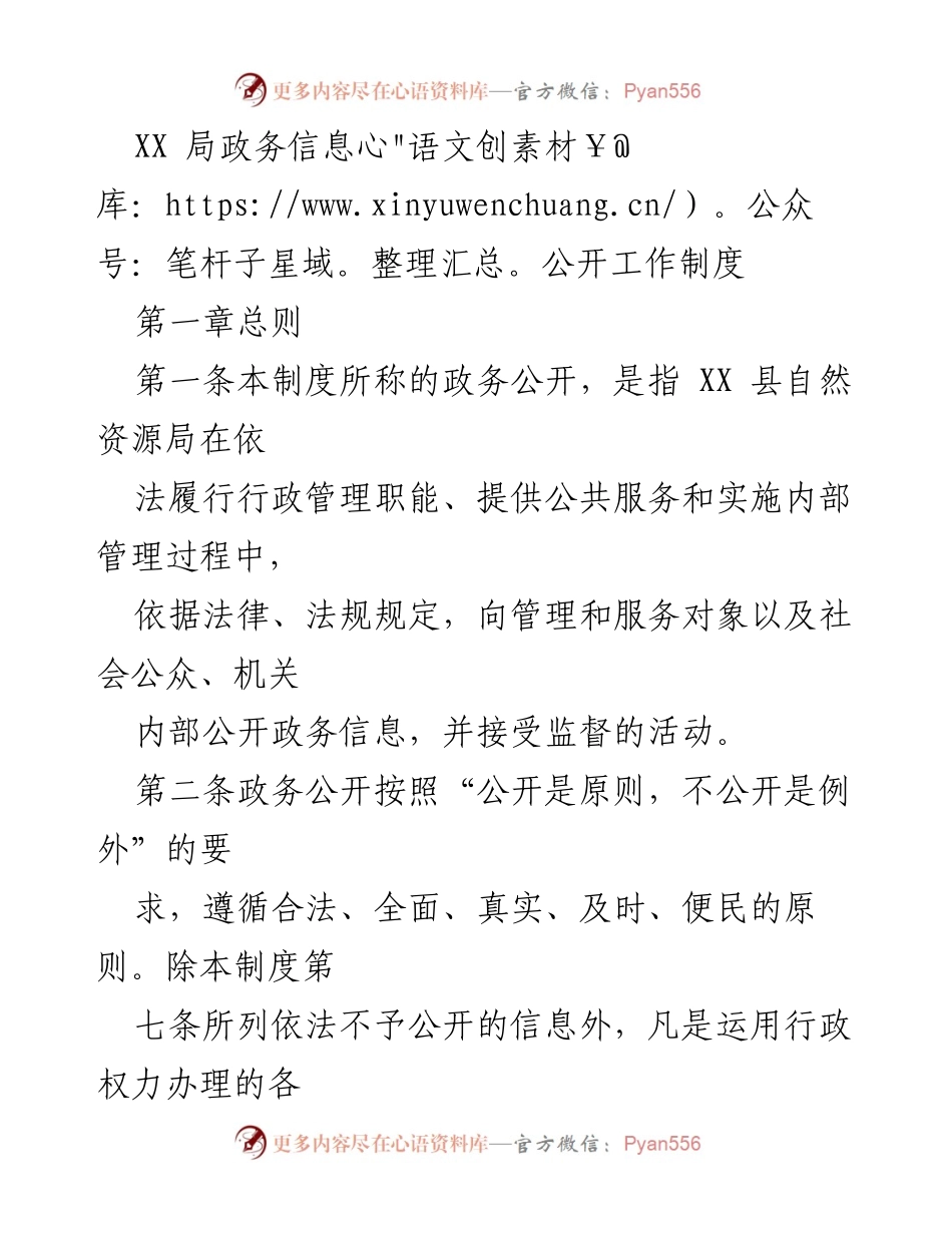 [工作制度] 政务公开 - XX局政务信息公开工作制度.docx_第1页
