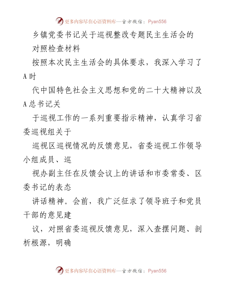 [对照检查材料] 乡镇党委书记 - 巡视整改专题民主生活会对照检查报告.docx_第1页