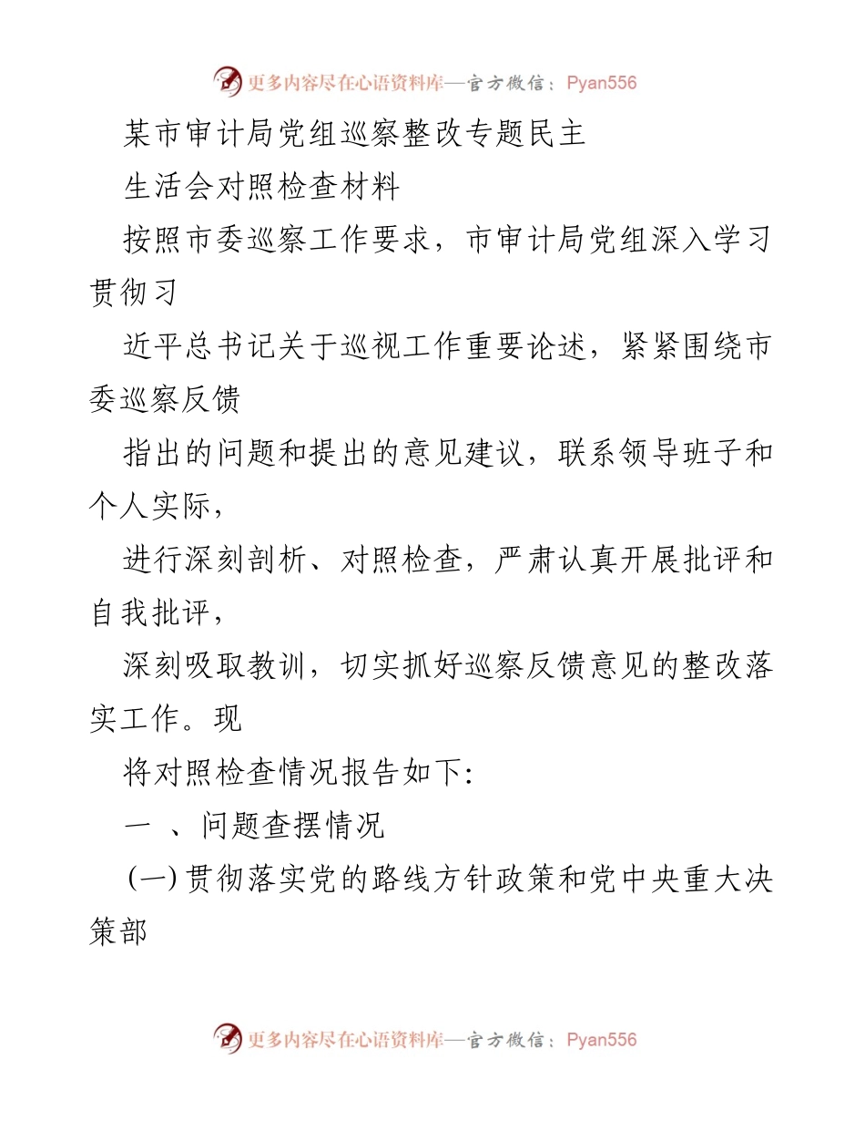[对照检查] 市审计局党组巡察整改 - 巡察整改专题民主生活会对照检查报告.docx_第1页