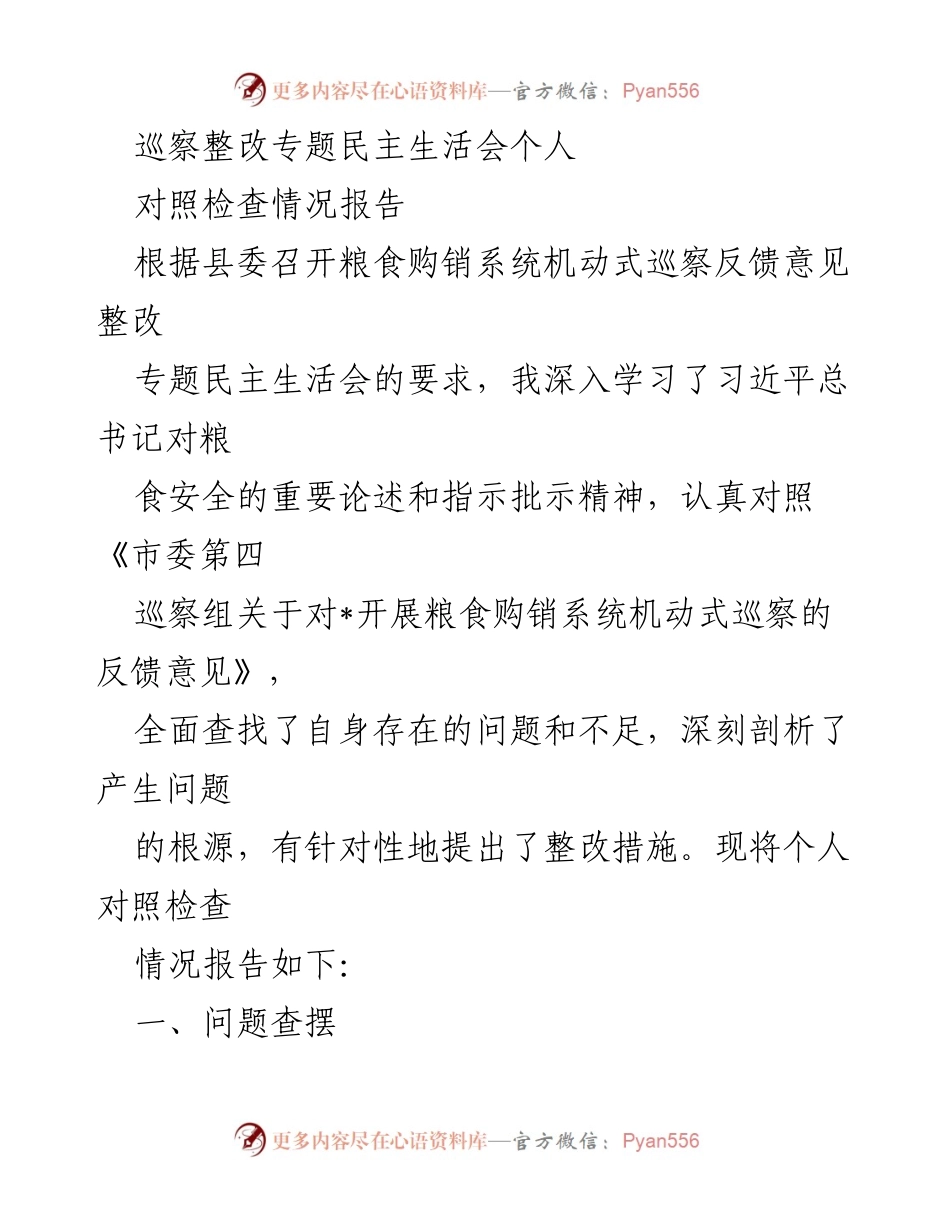 [对照检查报告] 巡察整改专题民主生活会 - 深入剖析自身不足，推动粮食安全整改措施.docx_第1页