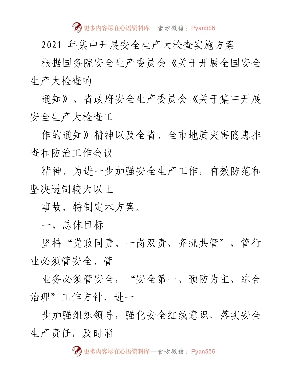 [实施方案] 安全生产大检查 - 2021年安全生产大检查实施方案.docx_第1页