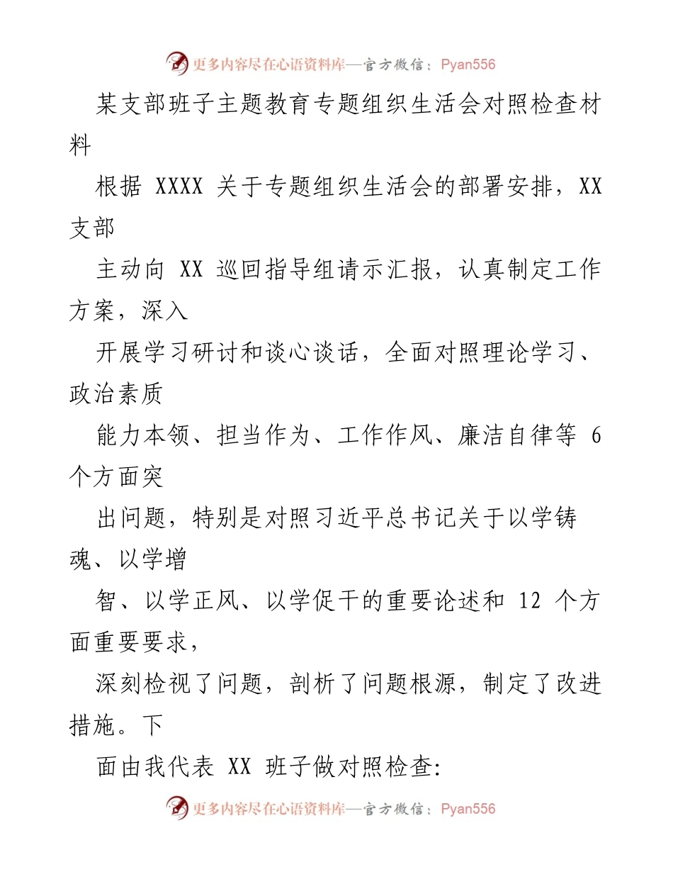 [对照检查材料] 组织生活会 - XX 支部班子主题教育对照检查报告.docx_第1页