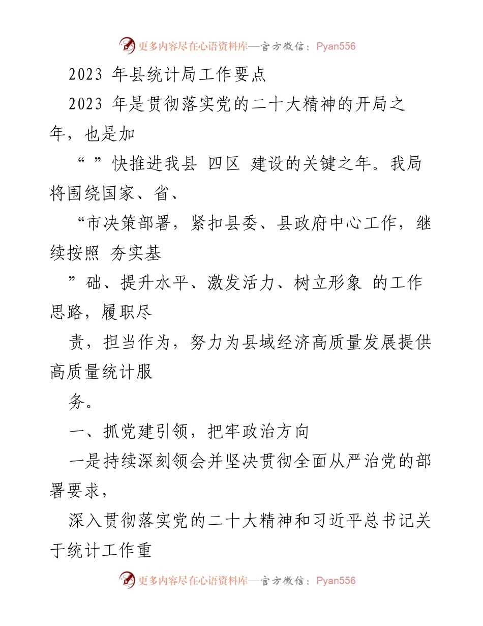 [工作总结] 2023年县统计局工作计划 - 2023年县统计局工作要点与实施策略.docx_第1页
